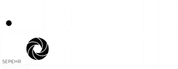 Pouya's Portfolio Logo